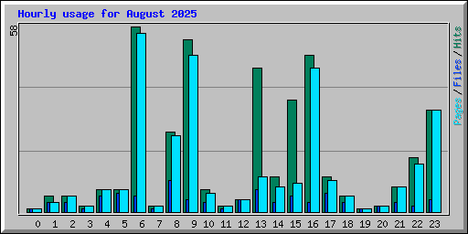 Hourly usage for August 2025