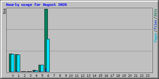 Hourly usage for August 2026